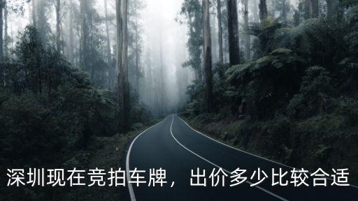 深圳現(xiàn)在競拍車牌，出價多少比較合適