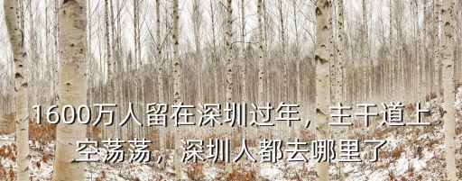 1600萬人留在深圳過年，主干道上空蕩蕩，深圳人都去哪里了