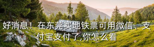 好消息！在東莞買地鐵票可用微信、支付寶支付了,你怎么看