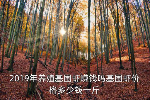 鎮江基圍蝦多少錢一斤,基圍蝦價格多少錢一斤