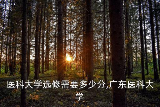 廣東醫(yī)科大學(xué)選修需要多少分,廣東醫(yī)科大學(xué)