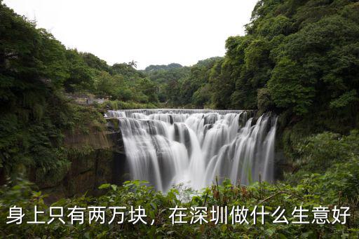 在深圳販菜賣怎么樣,在深圳做什么生意好