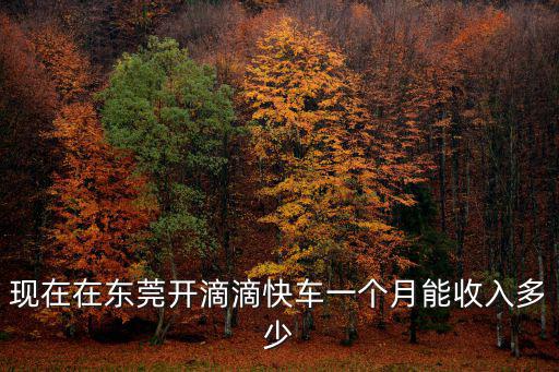 現(xiàn)在在東莞開滴滴快車一個(gè)月能收入多少