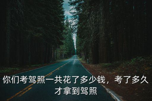 清遠考駕照網上預約考試多少錢,大家考C1駕照都花了多少錢
