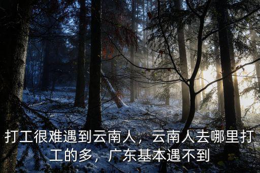 打工很難遇到云南人，云南人去哪里打工的多，廣東基本遇不到