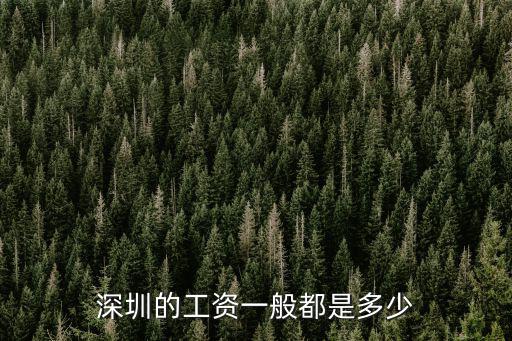 深圳的工資一般都是多少