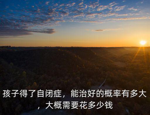 孩子得了自閉癥，能治好的概率有多大，大概需要花多少錢
