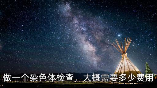 做一個染色體檢查，大概需要多少費用