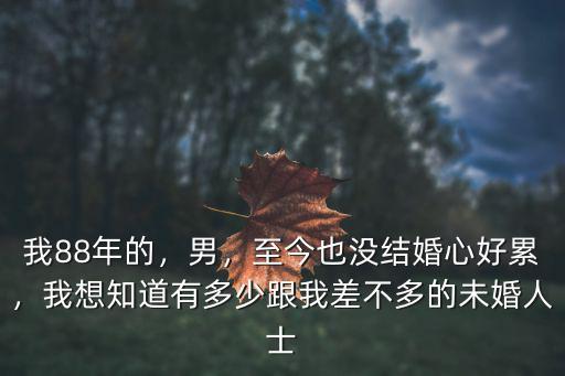 我88年的，男，至今也沒結(jié)婚心好累，我想知道有多少跟我差不多的未婚人士