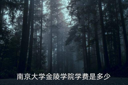 南京電大學費大概是多少,南京大學金陵學院學費是多少