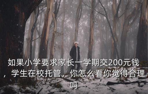 南京托管一個學期多少錢,一學期還需要繳納多少錢