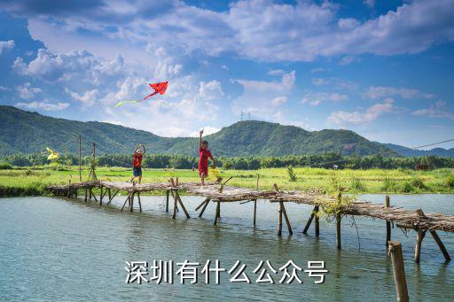 深圳網警公眾號是多少,深圳有什么公眾號