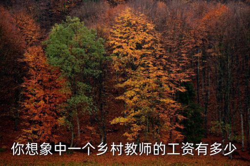 你想象中一個鄉村教師的工資有多少