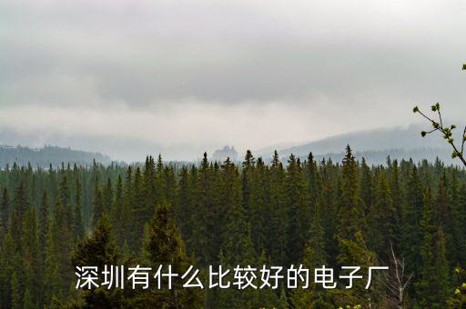 深圳哪里的廠最好,深圳有什么好的工廠
