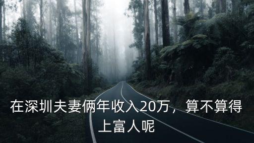 在深圳夫妻倆年收入20萬，算不算得上富人呢