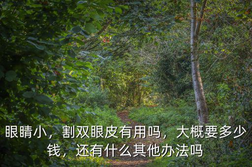 眼睛小，割雙眼皮有用嗎，大概要多少錢，還有什么其他辦法嗎