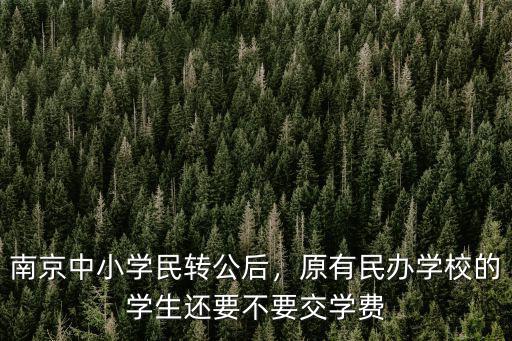 南京中小學民轉公后，原有民辦學校的學生還要不要交學費