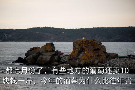 都七月份了，有些地方的葡萄還賣10塊錢一斤，今年的葡萄為什么比往年貴
