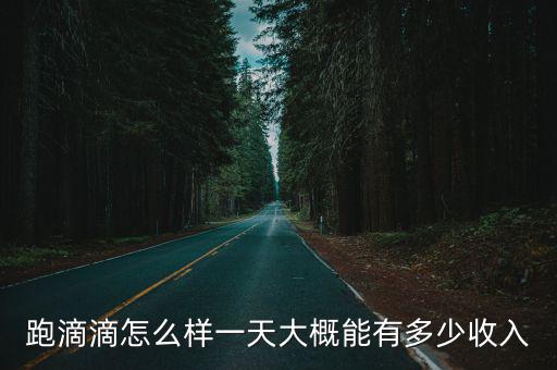 跑滴滴怎么樣一天大概能有多少收入
