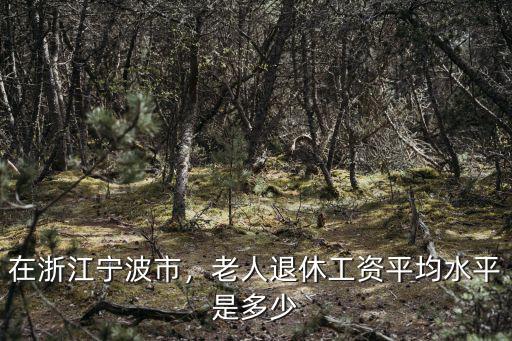 浙江2018年平均退休工資多少,老人退休工資平均水平是多少