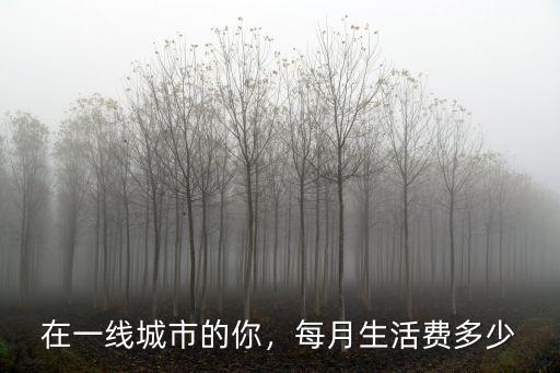 在一線城市的你，每月生活費多少