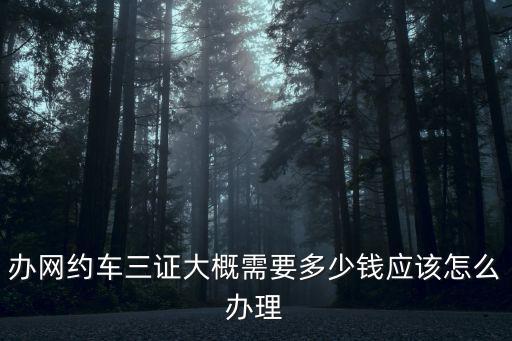 深圳市網約車要多少錢辦理,辦網約車三證大概需要多少錢