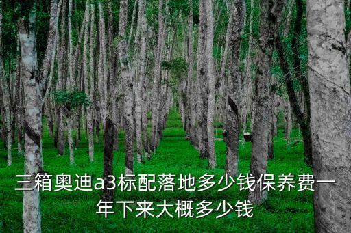 三箱奧迪a3標配落地多少錢保養費一年下來大概多少錢