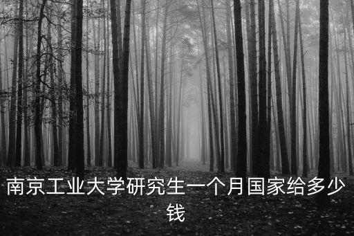 南京工業(yè)大學(xué)研究生一個月國家給多少錢