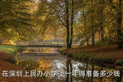深圳小學藝術學校學費多少錢,在深圳上民辦小學