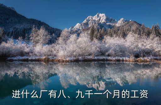 進什么廠有八、九千一個月的工資