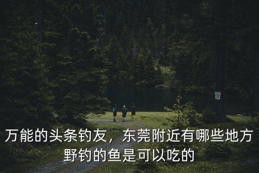 東莞有魚的地方在哪里,萬能的頭條釣友