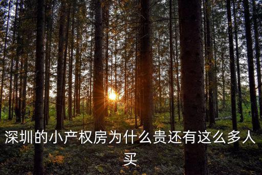 深圳的小產權房為什么貴還有這么多人買