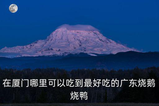 廣東燒鴨哪里的好吃,廣東燒鴨跟廣西燒鴨哪個好吃