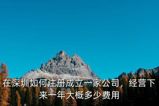 深圳買一家公司大概多少錢,在深圳如何注冊成立一家公司