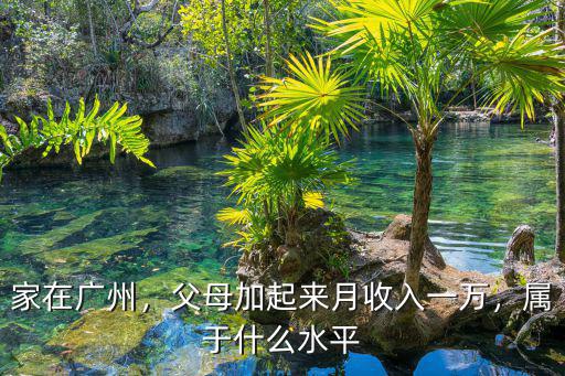 廣東月收入是多少,父母加起來月收入一萬