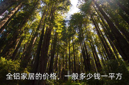 深圳全鋁家私多少錢一平米,一般多少錢一平方