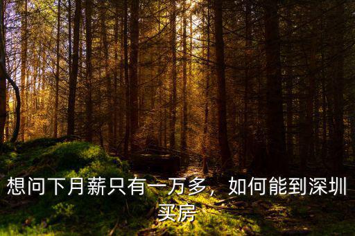 想問(wèn)下月薪只有一萬(wàn)多，如何能到深圳買房