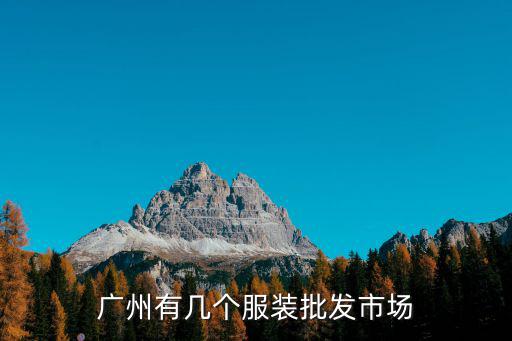 廣州服裝批發(fā)市場有多少個,廣州有幾個服裝批發(fā)市場
