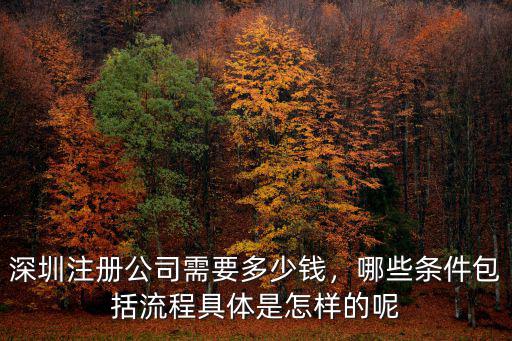 深圳注冊公司需要多少錢，哪些條件包括流程具體是怎樣的呢