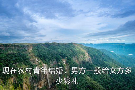 現在農村青年結婚，男方一般給女方多少彩禮