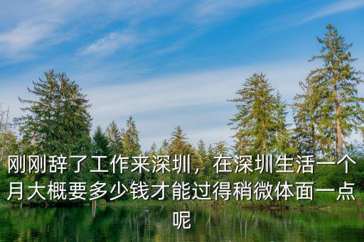 深圳一個人有多少錢,在深圳一個人