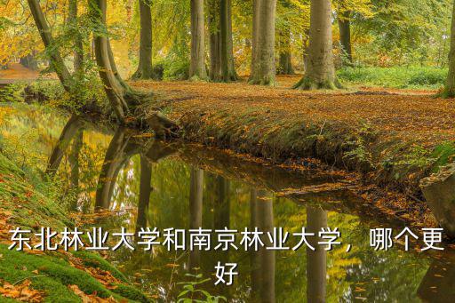 東北林業(yè)大學(xué)和南京林業(yè)大學(xué)，哪個(gè)更好