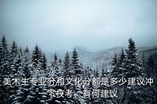 深圳大學美術生錄取要多少分,深圳大學美術類專業有哪些