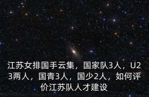 江蘇女排一共多少人,江蘇女排國手云集