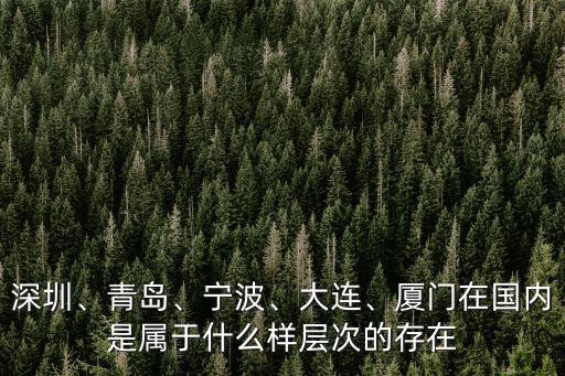深圳、青島、寧波、大連、廈門在國內是屬于什么樣層次的存在