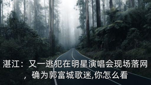 郭富城湛江演唱會(huì)2019有多少人看,2019你最想看誰(shuí)的演唱會(huì)