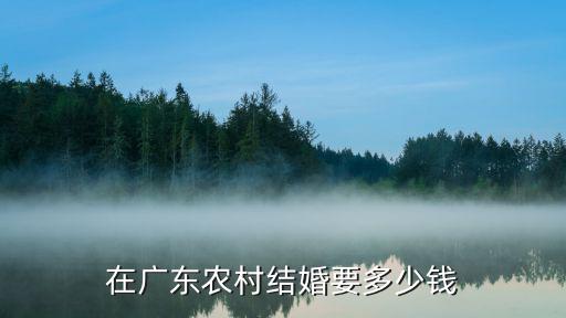 在廣東農村結婚要多少錢