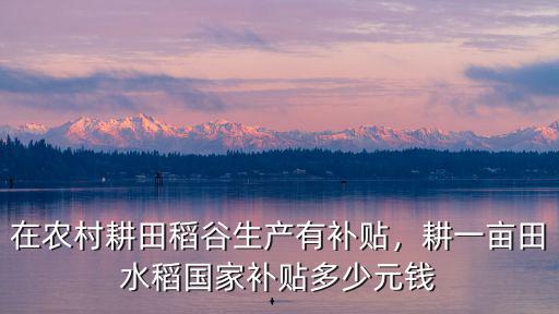 在農村耕田稻谷生產有補貼，耕一畝田水稻國家補貼多少元錢