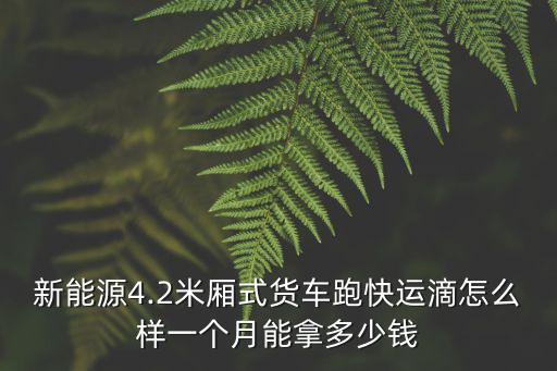 新能源4.2米廂式貨車跑快運滴怎么樣一個月能拿多少錢