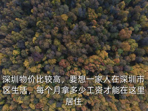 深圳物價多少一個月,一個月要多少錢